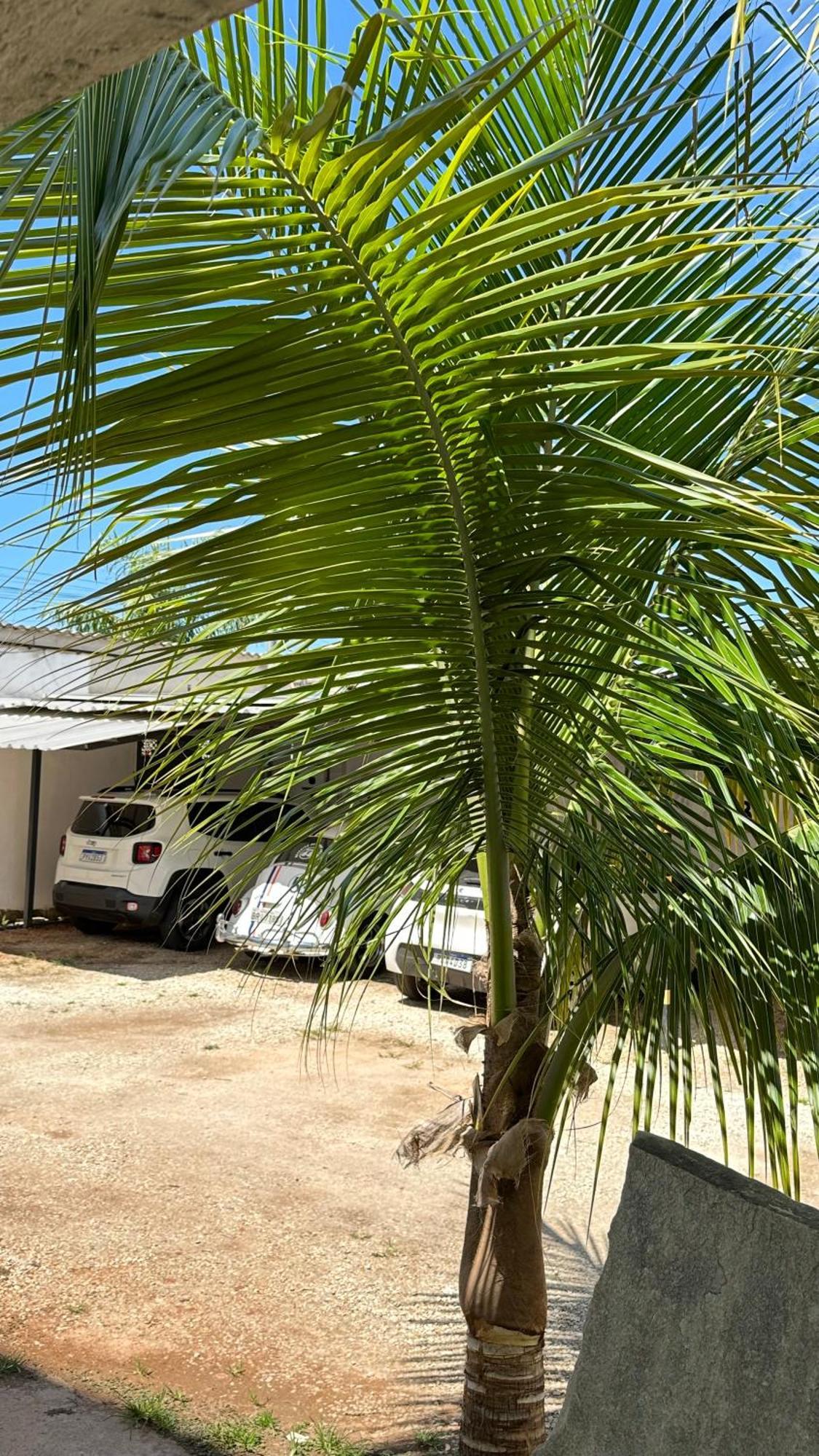 Pousada Caminho Das Cachoeiras Pirenopolis Ngoại thất bức ảnh